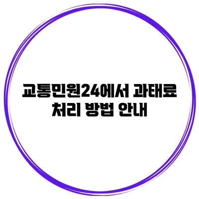 교통민원24에서 과태료 처리 방법 안내