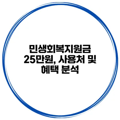 민생회복지원금 25만원, 사용처 및 혜택 분석