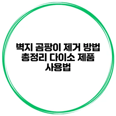 벽지 곰팡이 제거 방법 총정리 다이소 제품 사용법