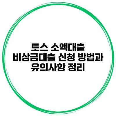토스 소액대출 비상금대출 신청 방법과 유의사항 정리