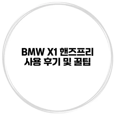 BMW X1 핸즈프리 사용 후기 및 꿀팁