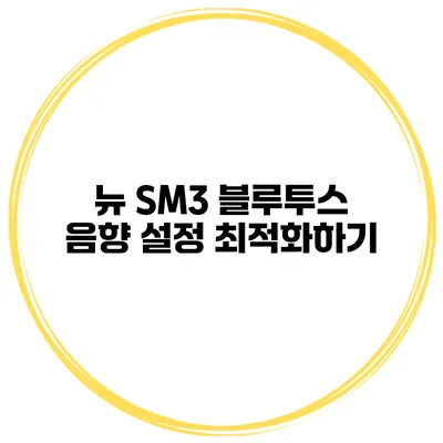뉴 SM3 블루투스 음향 설정 최적화하기