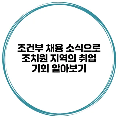 조건부 채용 소식으로 조치원 지역의 취업 기회 알아보기